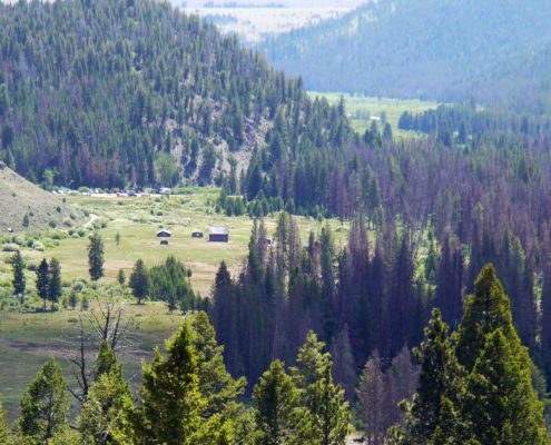 Montana