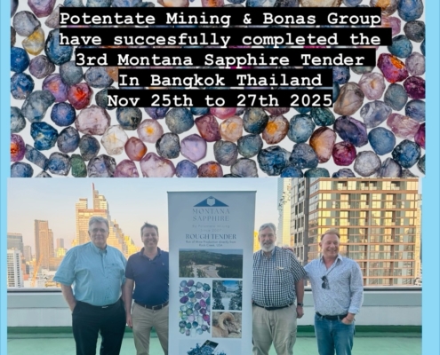Photo of Potentate Mining and Bonas Group teams