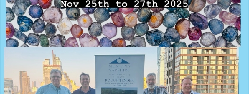 Photo of Potentate Mining and Bonas Group teams